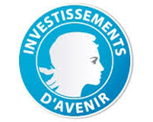 Investissement d'avenir